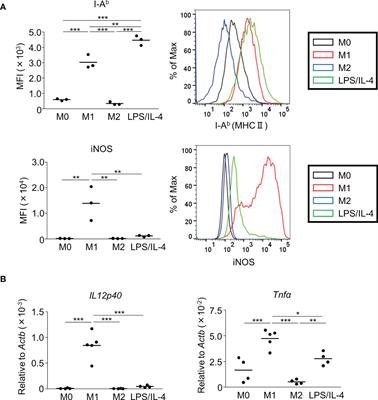 Induction of unique macrophage subset by simultaneous stimulation with LPS and IL-4